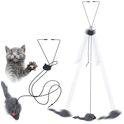 LAIBUY Interaktives Katzen-Federspielzeug, einziehbares Teaser-Spielzeug, hängendes interaktives Spielzeug für Indoor-Katzen, Kätzchen, Jagdübung, Kätzchen, geistiges Übungsspielzeug (2 Stück) von LAIBUY
