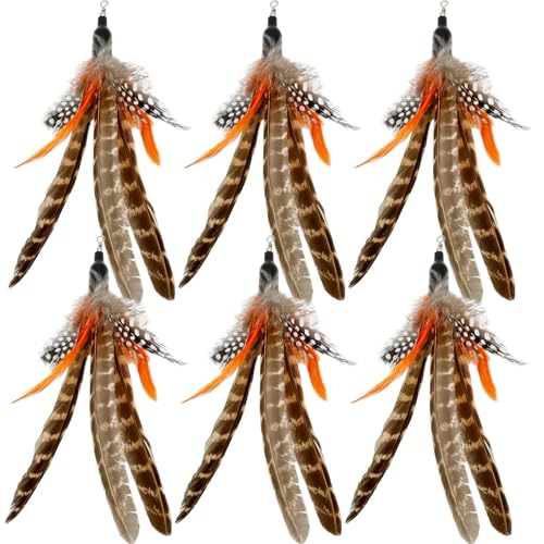 LAIBUY Katzenfederspielzeug Nachfüllpackungen, 6 Stück handgefertigte Da Bird Federn Nachfüllen, Katzenstab-Ersatzfeder für Indoor-Katzen (B) von LAIBUY