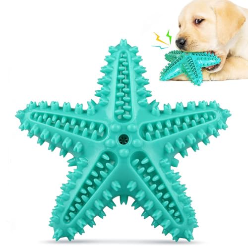 LAIBUY Kauspielzeug für Hunde, Zahnreinigung, Zahnbürste, quietschendes Spielzeug, langlebiges Kauspielzeug für Welpen, robust, Zahnpflege, Zahnpflege, Zahnpflege, Zahnpflege, Zahnpflege, Zahnbürste von LAIBUY