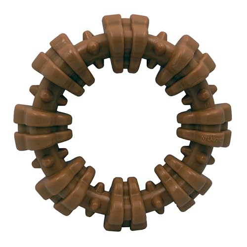 LAIBUY Power Chew Strukturierter Kauring für Hunde, mit Geschmack, Medley, X-Large/Souper, 1 Stück LAIBUY Power Chew Strukturierter Kauring für Hunde, mit Geschmack, Medley, X-Large/Souper, 1 Stück von LAIBUY
