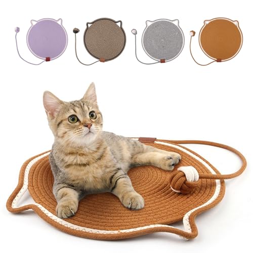 Kratzmatte für Katzen, mit Spielzeug für den Innenbereich, Krallenschleifmatte Kratzmatte für Katzen, mit Spielzeug für den Innenbereich, Krallenschleifmatte von LAIOUSN