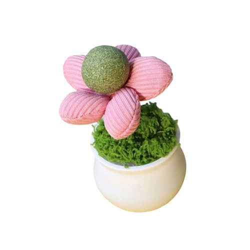 LAIOUSN Katzenminze Lecken mit Blumentöpfen Form für Kätzchen Spaß und Entspannung Indoor Anreicherung Teaser Topfpflanze Blumentopf Katzenminze von LAIOUSN