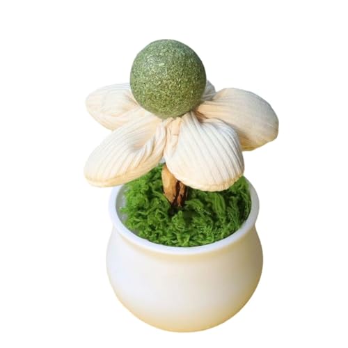 LAIOUSN Katzenminze Lecken mit Blumentöpfen Form für Kätzchen Spaß und Entspannung Indoor Anreicherung Teaser Topfpflanze Blumentopf Katzenminze von LAIOUSN