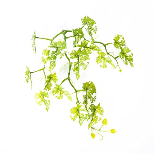 LAIOUSN Saugnapf-Blatt-Pad, Ruhebett für Fische, Hängemattenbeet, Aquarien, Laichen, Boden, Blätter, Aquarien, Zuchtbedarf, Terrarium, Pflanze von LAIOUSN