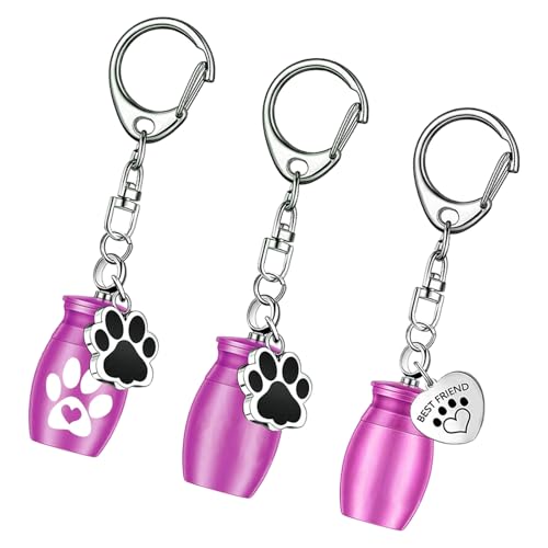 LAIOUSN Set mit 3 Einäscherungsaschen-Schlüsselanhängern, Hunde-Anhänger, Metallurnen-Schlüsselanhänger, Aschehalter, Haustier-Erinnerungen, Aschehalter, Flasche LAIOUSN Set mit 3 Einäscherungsaschen-Schlüsselanhängern, Hunde-Anhänger, Metallurnen-Schlüsselanhänger, Aschehalter, Haustier-Erinnerungen, Aschehalter, Flasche von LAIOUSN