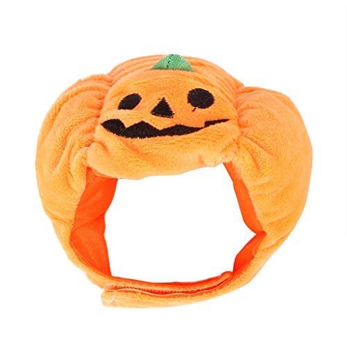 Haustier Halloween-Kostüm für Hund Kürbishut lustig einstellbar Kürbishut Party Requisiten Kleidung für Hund Welpen Halloween Haustier Kostüm Katze Kürbishut Party Requisiten (Orange, One Size) Haustier Halloween-Kostüm für Hund Kürbishut lustig einstellbar Kürbishut Party Requisiten Kleidung für Hund Welpen Halloween Haustier Kostüm Katze Kürbishut Party Requisiten (Orange, One Size) von LAJIAOMIAN