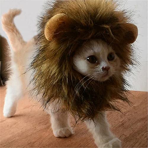 LAJIAOMIAN Süße Löwenkostüm Löwenmähne mit Ohren für Katzen, kleine Hunde oder Welpen Halloween Geeignet für Einen Halsumfang von 30 bis 34 cm Pelzige Haustier Kleidung Zubehör (Multicolor, One Size) LAJIAOMIAN Süße Löwenkostüm Löwenmähne mit Ohren für Katzen, kleine Hunde oder Welpen Halloween Geeignet für Einen Halsumfang von 30 bis 34 cm Pelzige Haustier Kleidung Zubehör (Multicolor, One Size) von LAJIAOMIAN