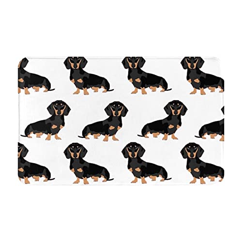 LAMAME Dackel Weiner Pet Dogs bedruckter Teppich für drinnen und draußen, waschbar, Fußmatte, Eingangsteppich von LAMAME
