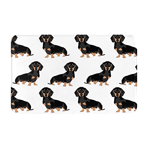 LAMAME Dackel Weiner Pet Dogs bedruckter Teppich für drinnen und draußen, waschbar, Fußmatte, Eingangsteppich LAMAME Dackel Weiner Pet Dogs bedruckter Teppich für drinnen und draußen, waschbar, Fußmatte, Eingangsteppich von LAMAME