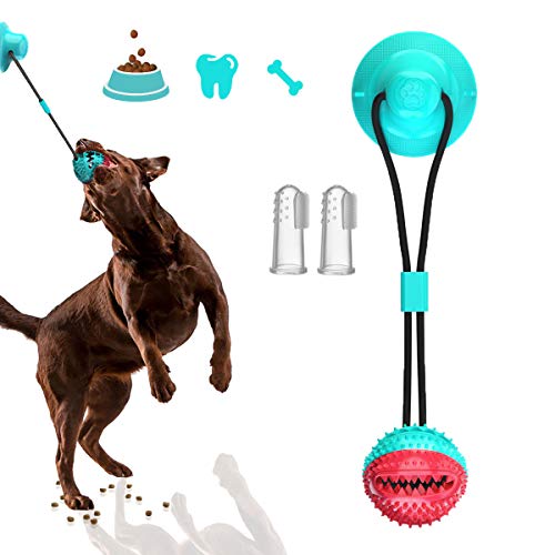 Saugnapf Hundespielzeug Interaktives Hundespielzeug Hundesauger Zähne Reinigung Hundespielzeug(Rot blau) von LAMXIN