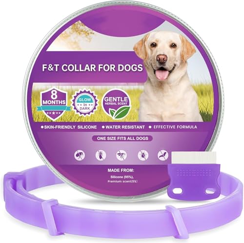 LANDYPHO Zeckenhalsband für Hunde, Flohhalsband für Hunde, Verstellbar und Wasserdicht, Sicher und Natürlich, 65 cm Length, 12 Monate Schutz, für Kleine, Mittelgroße und Große Hunde von LANDYPHO