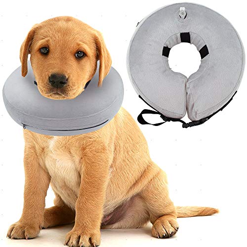 LANGING Hundehalsband, aufblasbar, verhindert das Beißen von Verletzungen, 1 Stück von LANGING