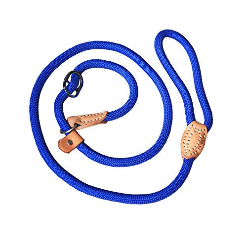 LANGING Hundeleine / Hundeleine / Halsband, verstellbar, 1,2 m von LANGING