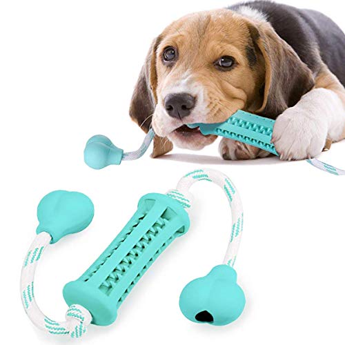 LANGING Kauspielzeug für Hunde, Zahnbürstenspielzeug mit kostenlosem Spiel- und Trainings-Baumwollseil, Grün von LANGING
