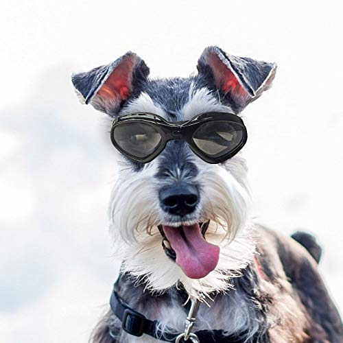 LANGING Schwarze, winddichte Hundebrille Sonnenbrille Wasserdichte Brille Augen UV-Schutz für kleine mittelgroße Hunde und Katzen von LANGING