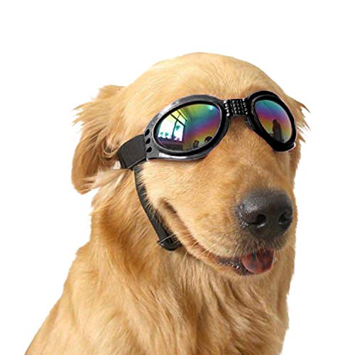 LANGING 1 x faltbare Haustierbrille für Hunde, winddicht, Sonnenbrille, UV-Schutz LANGING 1 x faltbare Haustierbrille für Hunde, winddicht, Sonnenbrille, UV-Schutz von LANGING