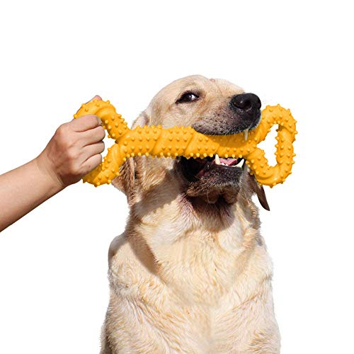 atopo Robustes Hundespielzeug 13 Inch Knochen geformt Kauspielzeug aus Hartgummi mit Konvexes Design stark interaktives Spielzeug für große kleine Hunde, Zähne reinigen und Zahnfleisch massieren atopo Robustes Hundespielzeug 13 Inch Knochen geformt Kauspielzeug aus Hartgummi mit Konvexes Design stark interaktives Spielzeug für große kleine Hunde, Zähne reinigen und Zahnfleisch massieren von atopo