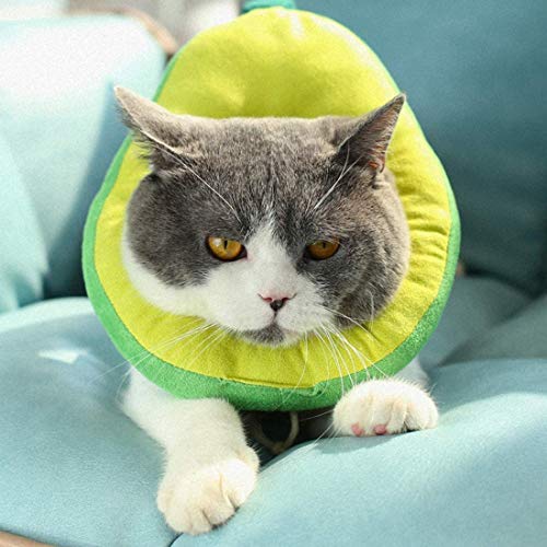 LAPONO Katzen schutzkragen Einstellbar und weich,Halskrause Katze Halskrause Hund sicher und ungiftig Schnelle Genesung nach der Operation, um Infektionen vorzubeugen Anti-Biss Anti-Kratzer, von LAPONO