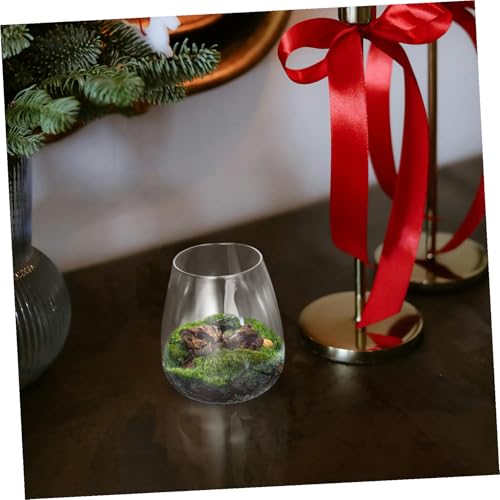 LAPYAPPE Hydroponische Glasterrarium Vase aus Nachhaltigem Glas Kleine Tischdeko Mikrolandschaftliche Pflanzflasche für Innenräume Einfach zu Pflegen für Lebendige Pflanzenarrangements von LAPYAPPE