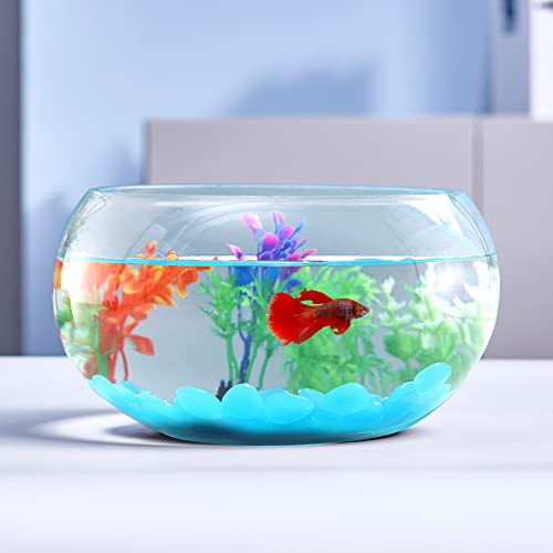 LAQUAL 3.8 Liter Glas-Fischschale mit Dekor, inklusive fluoreszierenden Steinen und bunten Kunststoffbäumen, kleine Fischschale/Aquarium für Betta/Goldfische, schöne Heimdekoration von LAQUAL