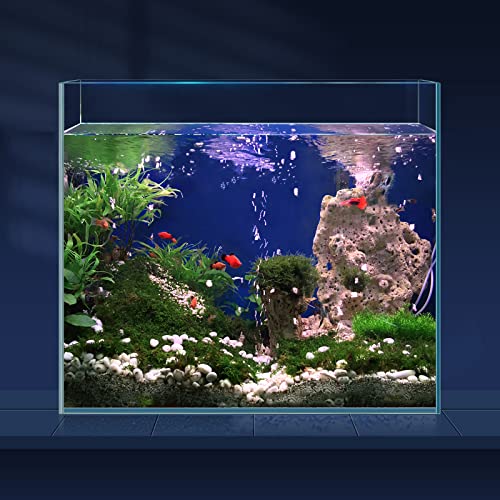 LAQUAL Ultra-klares Glas-Aquarium, randlos, niedriges Eisen-Aquarium für Betta/Nano/Goldfisch/Schnecke/Garnelen, Aquarium- und Abdeckungs-Set, Futterring und Reinigungswerkzeuge von LAQUAL