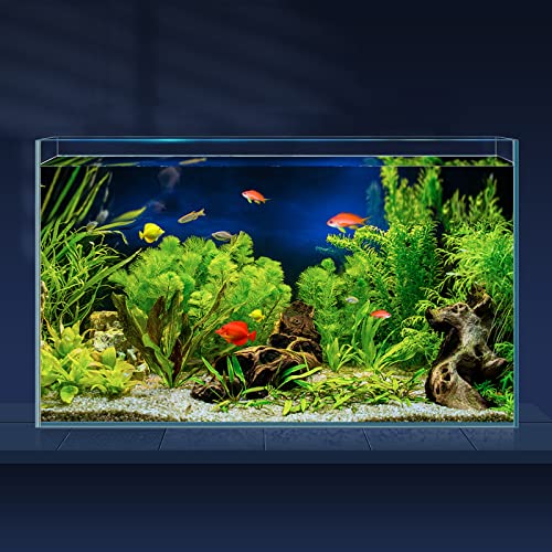 LAQUAL Ultraklares Glas-Aquarium, randlos, niedriges Eisen-Aquarium für Betta/Nano/Goldfisch/Schnecke/Garnelen, großes Aquarium, Abdeckung, Futterring und Reinigungswerkzeuge von LAQUAL