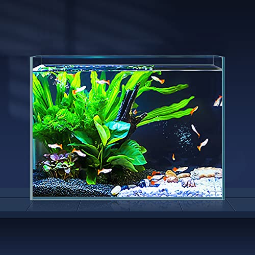 LAQUAL Ultraklares Glas-Aquarium, randlos, niedriges Eisen-Aquarium für Betta/Nano/Goldfisch/Schnecke/Garnelen, kleines Aquarium mit Fischnetz und Reinigungswerkzeugen von LAQUAL