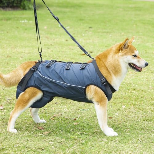 LAROTSUBA Hundegeschirr, Hilfsgurt für Hunde, Unterstützung und Rehabilitationsschlinge, verstellbare, gepolsterte, atmungsaktive Gurte für Senioren, Gelenkverletzungen, behinderte Hunde, Marineblau LAROTSUBA Hundegeschirr, Hilfsgurt für Hunde, Unterstützung und Rehabilitationsschlinge, verstellbare, gepolsterte, atmungsaktive Gurte für Senioren, Gelenkverletzungen, behinderte Hunde, Marineblau von LAROTSUBA