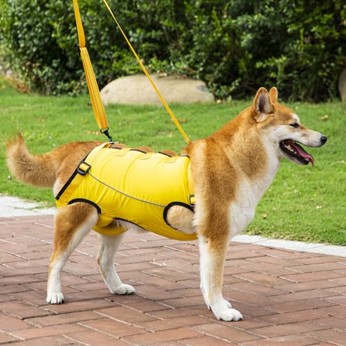 LAROTSUBA Hundegeschirr, Hilfsgurt für Hunde, Unterstützung und Rehabilitationsschlinge, verstellbare, gepolsterte, atmungsaktive Gurte für Senioren, Gelenkverletzungen, behinderte Hunde, Gelb, Größe LAROTSUBA Hundegeschirr, Hilfsgurt für Hunde, Unterstützung und Rehabilitationsschlinge, verstellbare, gepolsterte, atmungsaktive Gurte für Senioren, Gelenkverletzungen, behinderte Hunde, Gelb, Größe von LAROTSUBA