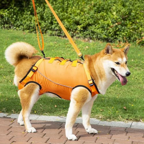 LAROTSUBA Hundegeschirr, Hilfsgurt für Hunde, Unterstützung und Rehabilitationsschlinge, verstellbare, gepolsterte, atmungsaktive Gurte für Senioren, Gelenkverletzungen, behinderte Hunde, Orange, LAROTSUBA Hundegeschirr, Hilfsgurt für Hunde, Unterstützung und Rehabilitationsschlinge, verstellbare, gepolsterte, atmungsaktive Gurte für Senioren, Gelenkverletzungen, behinderte Hunde, Orange, von LAROTSUBA