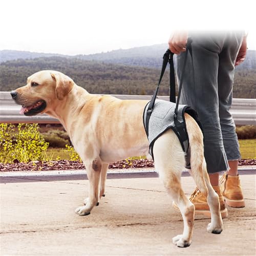 LAROTSUBA Hundegeschirr, Hundeschlinge für Hinterbeine, Hundegeschirr zum Anheben und Gehen, verstellbare Schlingenstütze für Hunde, Hinterbeine, Grau, Größe XL LAROTSUBA Hundegeschirr, Hundeschlinge für Hinterbeine, Hundegeschirr zum Anheben und Gehen, verstellbare Schlingenstütze für Hunde, Hinterbeine, Grau, Größe XL von LAROTSUBA