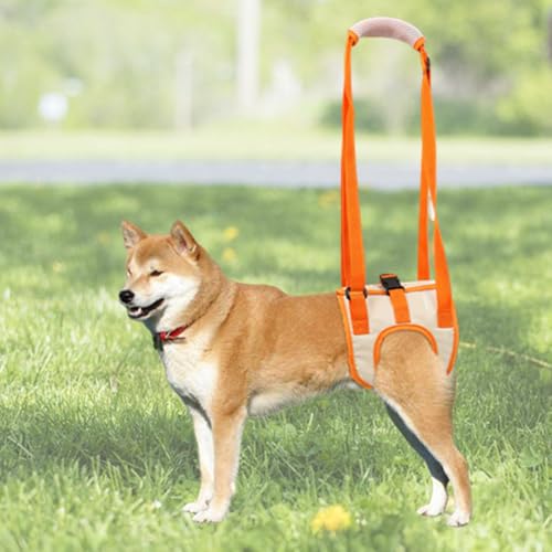 LAROTSUBA Hundegeschirr, Hundeschlinge für Hinterbeine, Hundegeschirr zum Anheben und Gehen, verstellbare Schlingenstütze für Hunde, Hinterbeine, Orange, Größe XL LAROTSUBA Hundegeschirr, Hundeschlinge für Hinterbeine, Hundegeschirr zum Anheben und Gehen, verstellbare Schlingenstütze für Hunde, Hinterbeine, Orange, Größe XL von LAROTSUBA