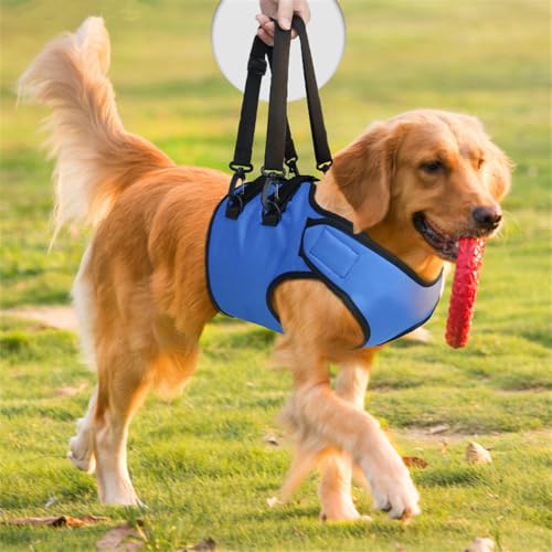 LAROTSUBA Hundegeschirr, verstellbarer Hundehilfegurt zur Unterstützung des Vorderbeins, Haustierunterstützung, Rehabilitationsschlinge, Hebeband für ältere und behinderte Hunde, Größe M LAROTSUBA Hundegeschirr, verstellbarer Hundehilfegurt zur Unterstützung des Vorderbeins, Haustierunterstützung, Rehabilitationsschlinge, Hebeband für ältere und behinderte Hunde, Größe M von LAROTSUBA