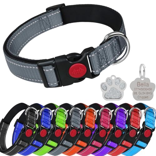 LARRYROO Reflektierendes, weich gepolstertes Nylon-Halsband, Schiebeverschluss-Sicherheitsschnalle, voll verstellbar mit personalisierbarer Gravur, glitzernd, Pfotenform, Grau, Größe XS (20 cm – 30 cm LARRYROO Reflektierendes, weich gepolstertes Nylon-Halsband, Schiebeverschluss-Sicherheitsschnalle, voll verstellbar mit personalisierbarer Gravur, glitzernd, Pfotenform, Grau, Größe XS (20 cm – 30 cm von LARRYROO