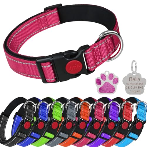 LARRYROO Reflektierendes, weich gepolstertes Nylon-Halsband, Schiebeverschluss-Sicherheitsschnalle, voll verstellbar mit personalisierbarer Gravur, glitzernd, Pfotenform, Rosa, Größe XS (20 cm – 30 cm von LARRYROO