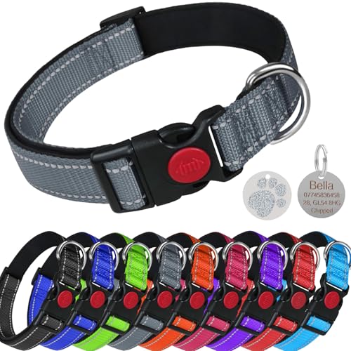 LARRYROO Reflektierendes, weich gepolstertes Nylon-Halsband, Schiebeverschluss-Sicherheitsschnalle, voll verstellbar mit personalisierbarer Gravur, rundes Pfotenabdruck-Glitzer-Etikett (Grau, Größe M von LARRYROO