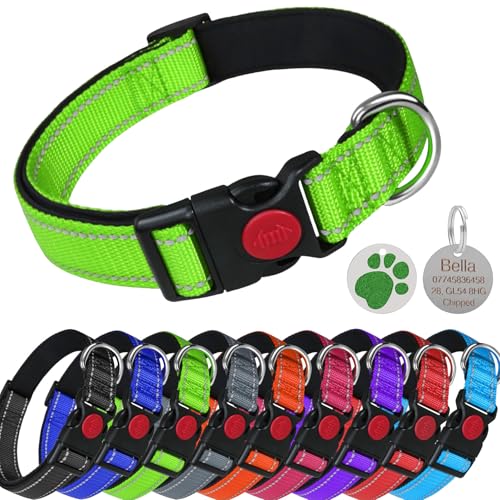 LARRYROO Reflektierendes, weich gepolstertes Nylon-Halsband, Schiebeverschluss-Sicherheitsschnalle, voll verstellbar mit personalisierbarer Gravur, rundes Pfotenabdruck-Glitzer-Etikett (Grün, Größe XL von LARRYROO
