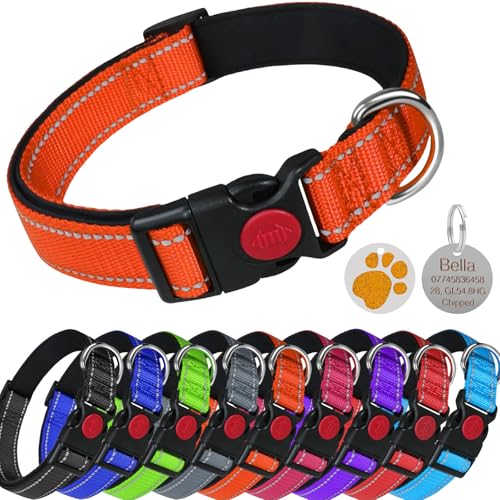 LARRYROO Reflektierendes, weich gepolstertes Nylon-Halsband, Schiebeverschluss-Sicherheitsschnalle, voll verstellbar mit personalisierbarer Gravur, rundes Pfotenabdruck-Glitzer-Etikett (Orange, Größe LARRYROO Reflektierendes, weich gepolstertes Nylon-Halsband, Schiebeverschluss-Sicherheitsschnalle, voll verstellbar mit personalisierbarer Gravur, rundes Pfotenabdruck-Glitzer-Etikett (Orange, Größe von LARRYROO