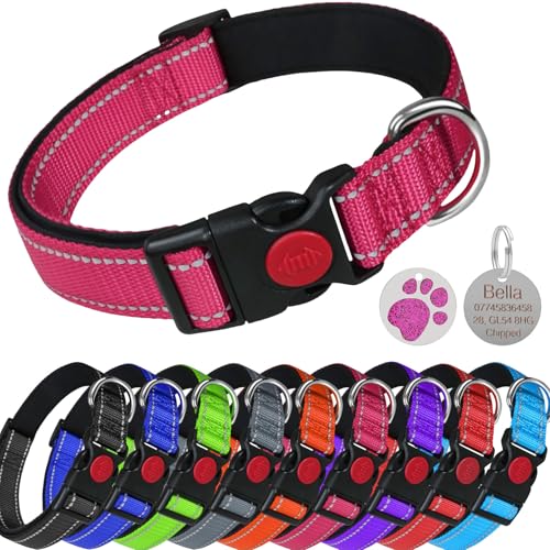 LARRYROO Reflektierendes, weich gepolstertes Nylon-Halsband, Schiebeverschluss-Sicherheitsschnalle, voll verstellbar mit personalisierbarer Gravur, rundes Pfotenabdruck-Glitzer-Etikett (Rosa, Größe XS LARRYROO Reflektierendes, weich gepolstertes Nylon-Halsband, Schiebeverschluss-Sicherheitsschnalle, voll verstellbar mit personalisierbarer Gravur, rundes Pfotenabdruck-Glitzer-Etikett (Rosa, Größe XS von LARRYROO
