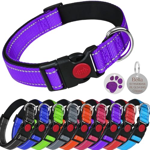 LARRYROO Reflektierendes, weich gepolstertes Nylon-Halsband, Schiebeverschluss-Sicherheitsschnalle, voll verstellbar mit personalisierbarer Gravur, rundes Pfotenabdruck-Glitzer-Etikett (lila, Größe M von LARRYROO