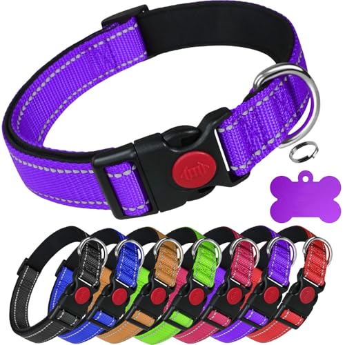 LARRYROO Reflektierendes, weich gepolstertes Nylonhalsband, Schiebeverschluss-Sicherheitsschnalle, voll verstellbar mit personalisierbarer Gravur, farblich abgestimmter Knochenmarke (Violett, Größe XL LARRYROO Reflektierendes, weich gepolstertes Nylonhalsband, Schiebeverschluss-Sicherheitsschnalle, voll verstellbar mit personalisierbarer Gravur, farblich abgestimmter Knochenmarke (Violett, Größe XL von LARRYROO