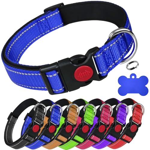 LARRYROO Reflektierendes, weich gepolstertes Nylonhalsband, Schiebeverschluss-Sicherheitsschnalle, voll verstellbar mit personalisierbarer Gravur, farblich passender Knochenmarke (Blau, Größe S (25 cm LARRYROO Reflektierendes, weich gepolstertes Nylonhalsband, Schiebeverschluss-Sicherheitsschnalle, voll verstellbar mit personalisierbarer Gravur, farblich passender Knochenmarke (Blau, Größe S (25 cm von LARRYROO