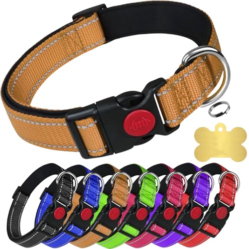 LARRYROO Reflektierendes, weich gepolstertes Nylonhalsband, Schiebeverschluss-Sicherheitsschnalle, voll verstellbar mit personalisierbarer Gravur, farblich passender Knochenmarke (Gold, Größe L (40 cm LARRYROO Reflektierendes, weich gepolstertes Nylonhalsband, Schiebeverschluss-Sicherheitsschnalle, voll verstellbar mit personalisierbarer Gravur, farblich passender Knochenmarke (Gold, Größe L (40 cm von LARRYROO