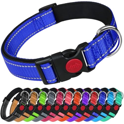 LARRYROO Reflektierendes Hundehalsband aus Nylon, Sicherheitsschnalle, voll verstellbar, weiche Neoprenpolsterung (Königsblau, Größe XS (20 cm – 30 cm Hals)) von LARRYROO