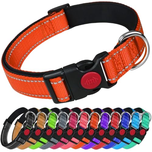 LARRYROO Reflektierendes Hundehalsband aus Nylon, Sicherheitsschnalle, voll verstellbar, weiche Neoprenpolsterung (Orange, Größe M (35 cm – 50 cm Hals)) von LARRYROO