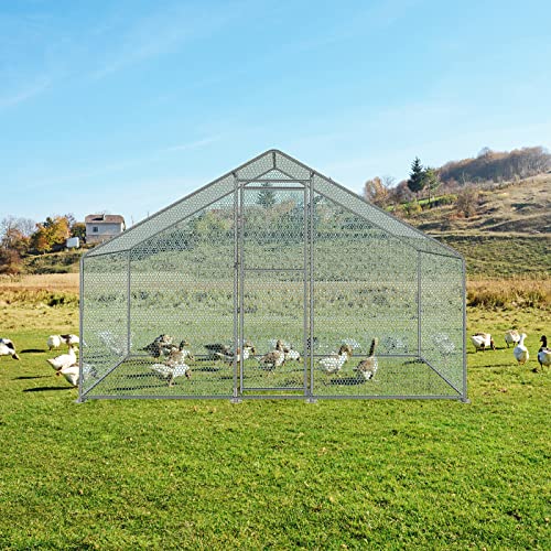 LARS360 Freilaufgehege Hühnerstall 3x2x2m Außenzaun, beschichtetes PE-Schattendach, verzinkter Stahlrahmen, verwendet für Hühner, Geflügelställe, Vogelkäfige, Kleintiere, Silber LARS360 Freilaufgehege Hühnerstall 3x2x2m Außenzaun, beschichtetes PE-Schattendach, verzinkter Stahlrahmen, verwendet für Hühner, Geflügelställe, Vogelkäfige, Kleintiere, Silber von LARS360
