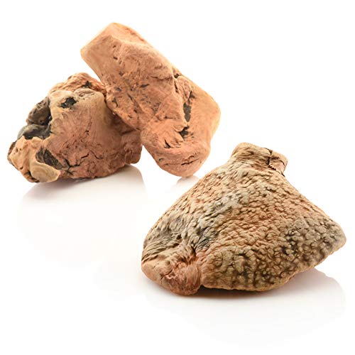 Larsson | Heidebaum Hunde Snack Wurzel Dolle Knolle/Kauwurzel Größe XL 700-1000 gr Larsson | Heidebaum Hunde Snack Wurzel Dolle Knolle/Kauwurzel Größe XL 700-1000 gr von Larsson