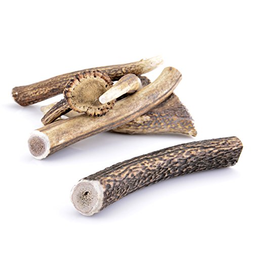 Larsson | Geweihstück - Full-Chew | XL | Kauartikel 160-250g Larsson | Geweihstück - Full-Chew | XL | Kauartikel 160-250g von Larsson