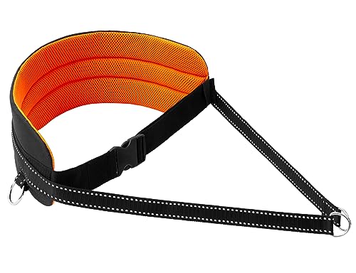 LASALINE Bauchgurt für Hundeleine Canicross Dogtrekking Ski-Jöring Touren Hundesport in Schwarz Neonorange LASALINE Bauchgurt für Hundeleine Canicross Dogtrekking Ski-Jöring Touren Hundesport in Schwarz Neonorange von LASALINE