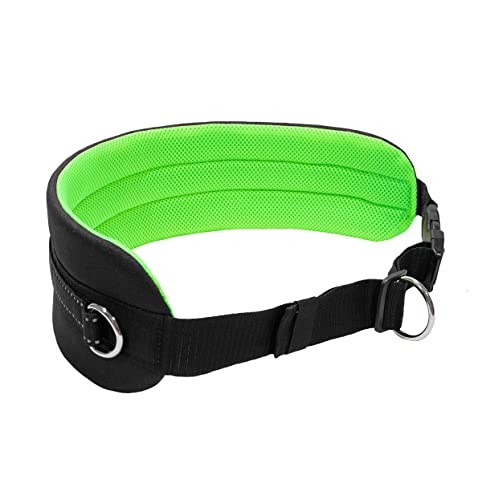 LASALINE Canicross Gürtel Bauchgurt für Hundeleine Dogtrekking Gürtel in Schwarz Neongrün LASALINE Canicross Gürtel Bauchgurt für Hundeleine Dogtrekking Gürtel in Schwarz Neongrün von LASALINE